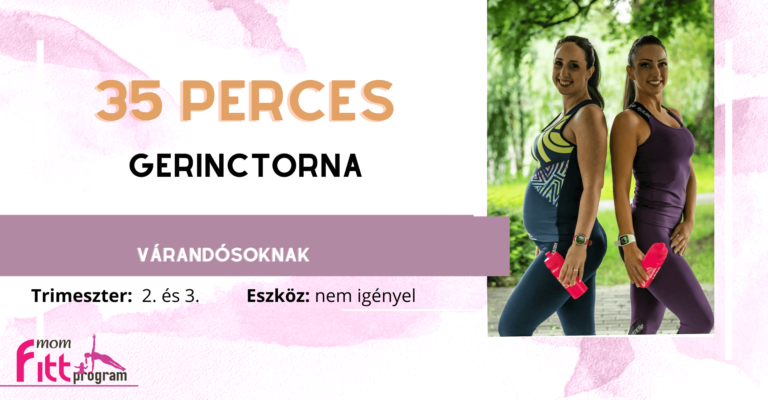 KTM 2. Gerinctorna kismamáknak